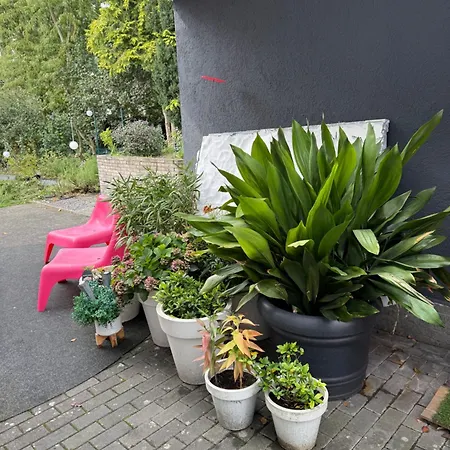 Modernes 1 Zimmerapartment Nahe Frankfurt Am Main Heusenstamm Esterno foto